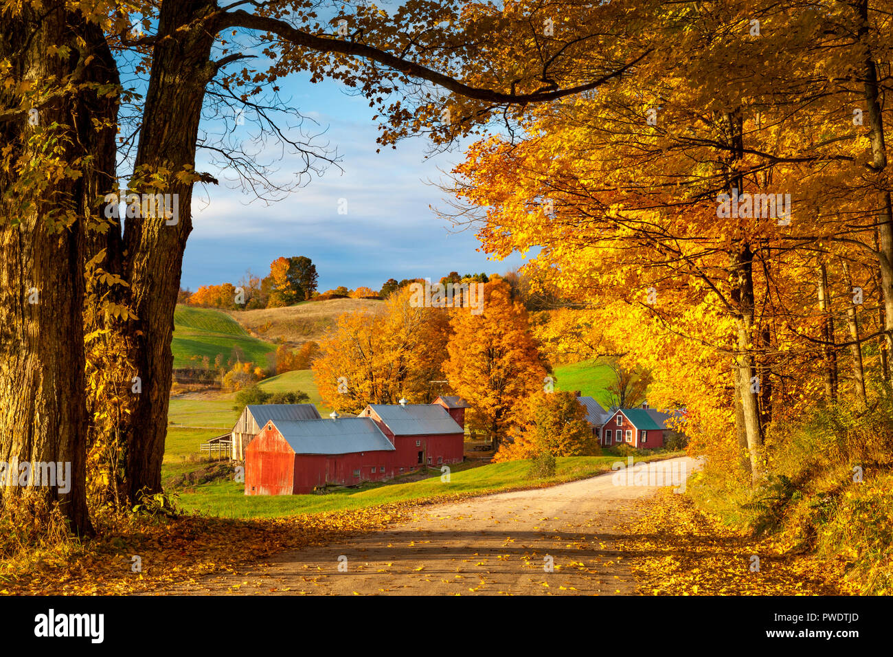 Autumn dawn at the Jenne Farm near South Woodstock, Vermont, USA Stock Photo