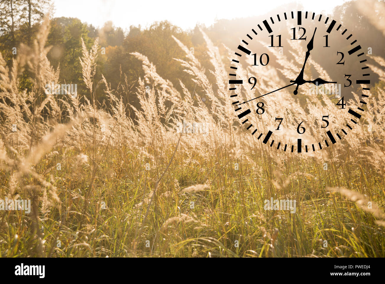 Fall Utc Utc circle hi-res stock photography and images - Alamy
