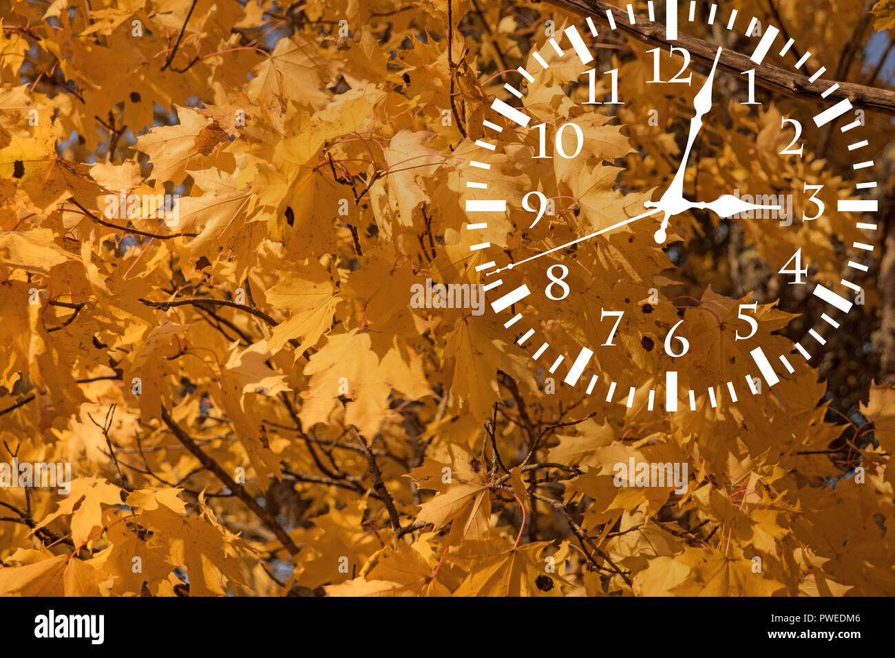 Fall Utc Utc circle hi-res stock photography and images - Alamy
