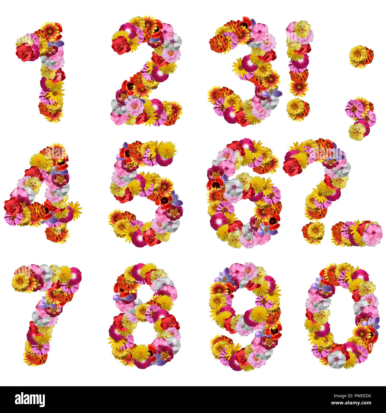 numbers of flowers isolated on a white background Stock Photo