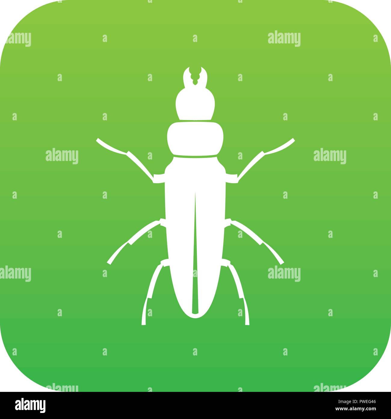 Beetle insect icon digital green Stock Vector Image & Art - Alamy