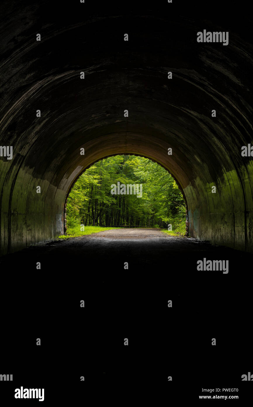 Inside A Tunnel Looking Out Into The Woods Stock Photo Alamy