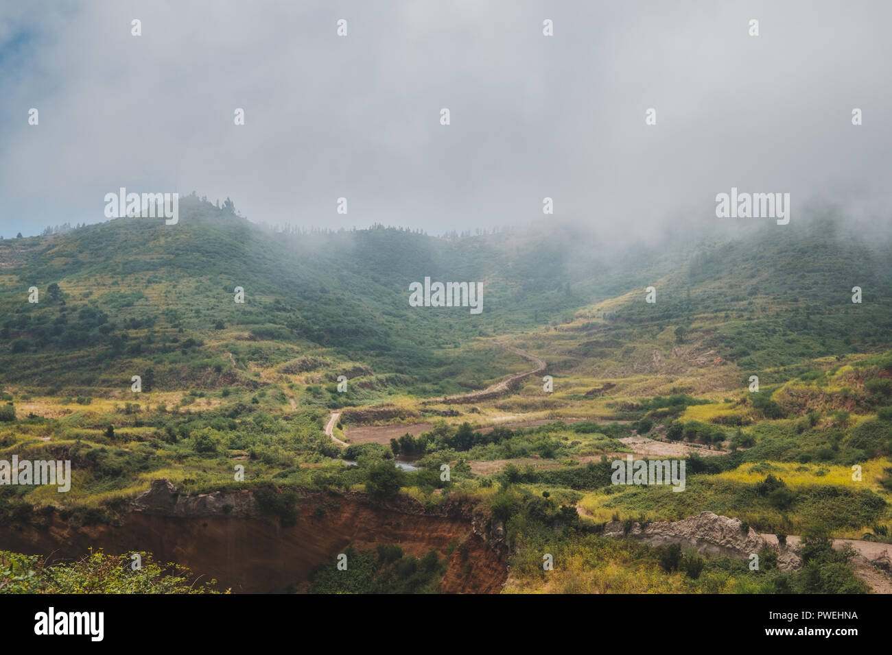 beautiful green hill landscape with terraced fields cloudy weather Stock Photo
