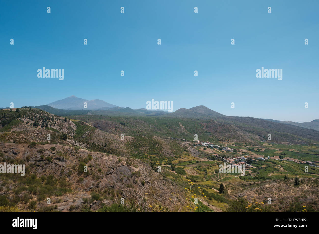 Tenerife landscape, green valley with mountain Teide background and clear blue sky Stock Photo