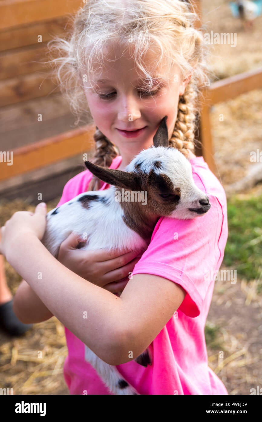 Closeup of a child holding a baby goat, showing kindness love delicate  concept, nature, baby farm animals, baby animal, little things, happiness  Stock Photo - Alamy