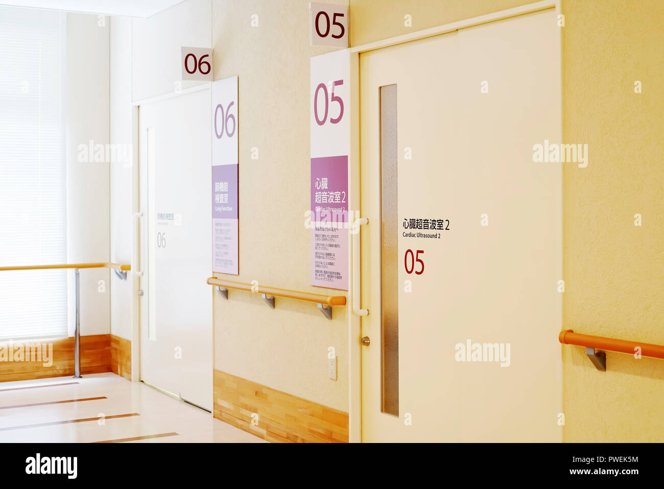 Hospital consultation room door, medical and clinic of hospital