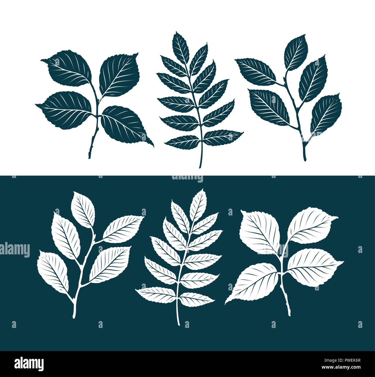 Decorative leaves set. Nature concept. Silhouette vector illustration Stock Vector