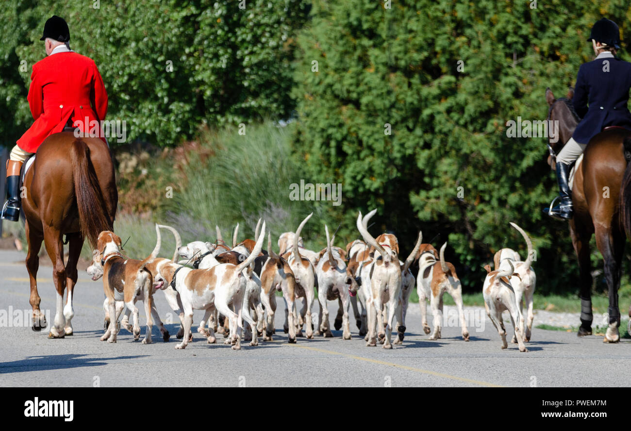 London Hunt Club annual fox hunt parade Stock Photo Alamy