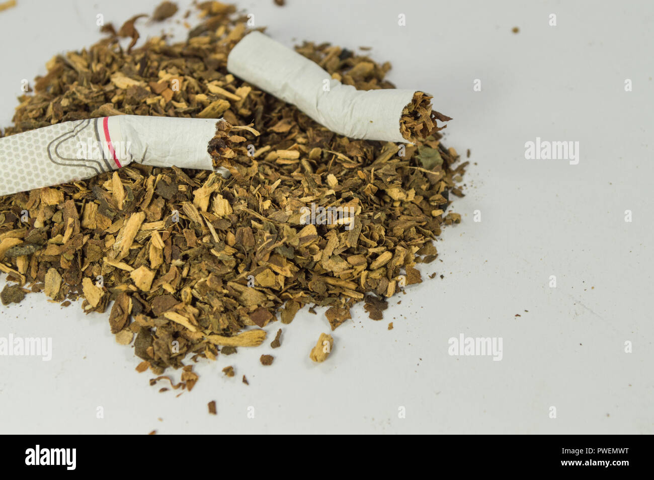 Cigarette on loose shredded tobacco, close up. Stock Photo