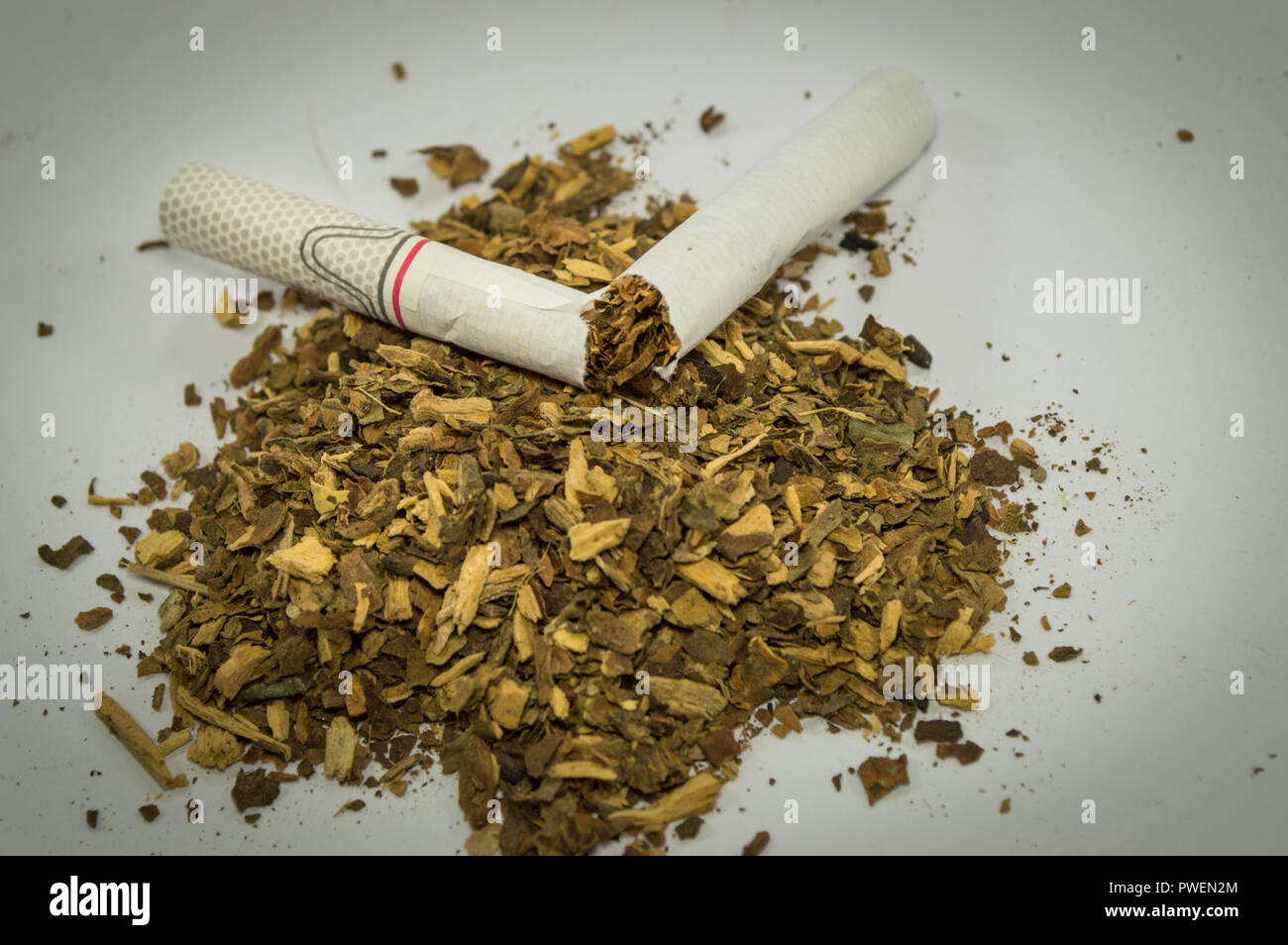 Cigarette on loose shredded tobacco, close up. Stock Photo