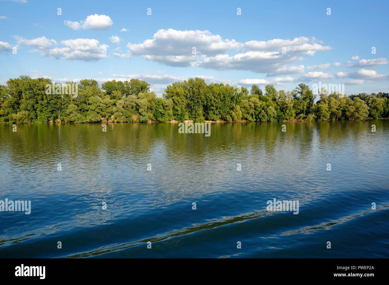 Danube landscape in northern Budapest, river landscape, Danube bank, woodland, evening, cumulus clouds, Hungary, Central Hungary, Capital City, UNESCO World Heritage Site Stock Photo
