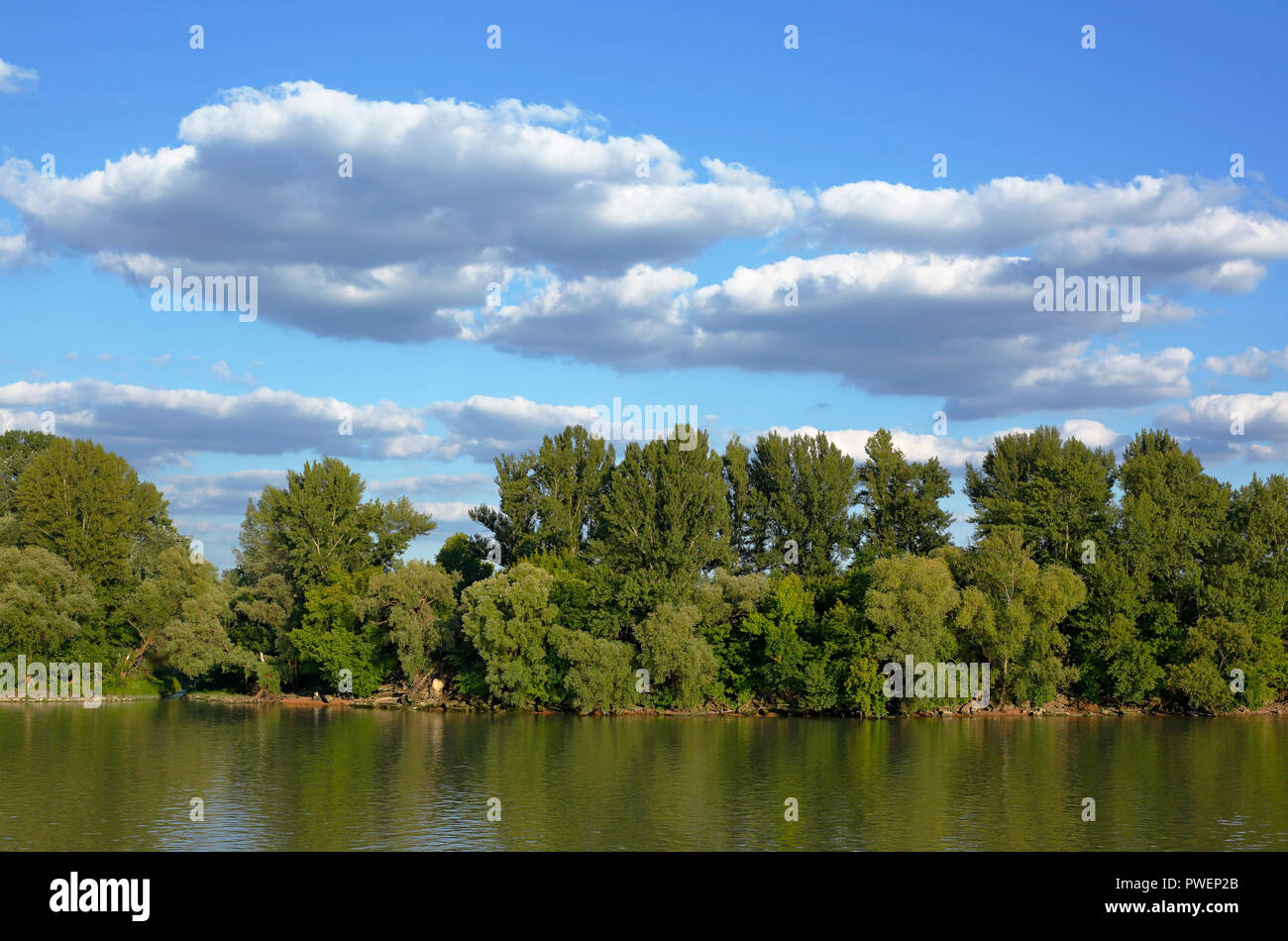 Danube landscape in northern Budapest, river landscape, Danube bank, woodland, evening, cumulus clouds, Hungary, Central Hungary, Capital City, UNESCO World Heritage Site Stock Photo