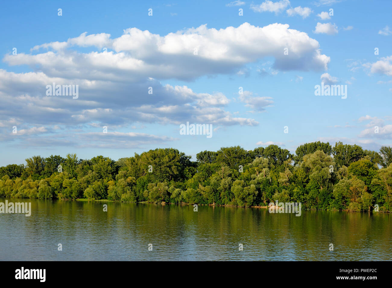 Danube landscape in northern Budapest, river landscape, Danube bank, woodland, evening, cumulus clouds, Hungary, Central Hungary, Capital City, UNESCO World Heritage Site Stock Photo