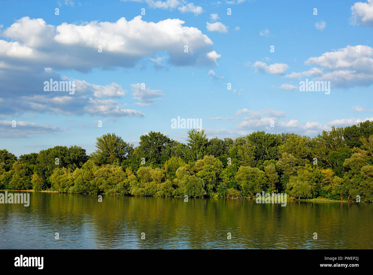 Danube landscape in northern Budapest, river landscape, Danube bank, woodland, evening, cumulus clouds, Hungary, Central Hungary, Capital City, UNESCO World Heritage Site Stock Photo