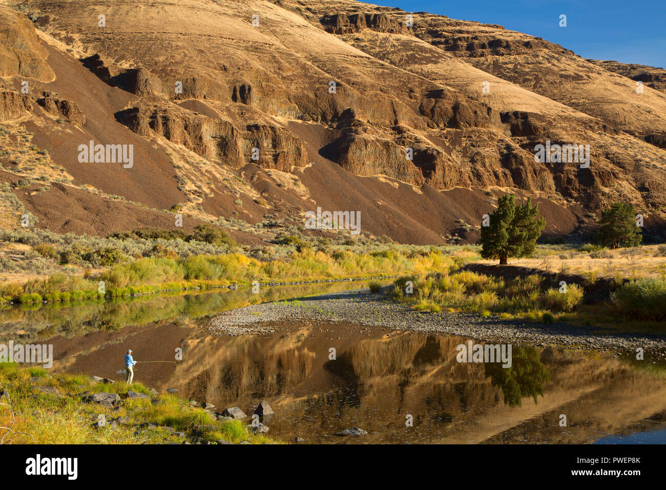 Fly Fishing On John Day Wild And Scenic River Cottonwood Canyon State Park John Day River State Scenic Waterway Oregon Stock Photo Alamy