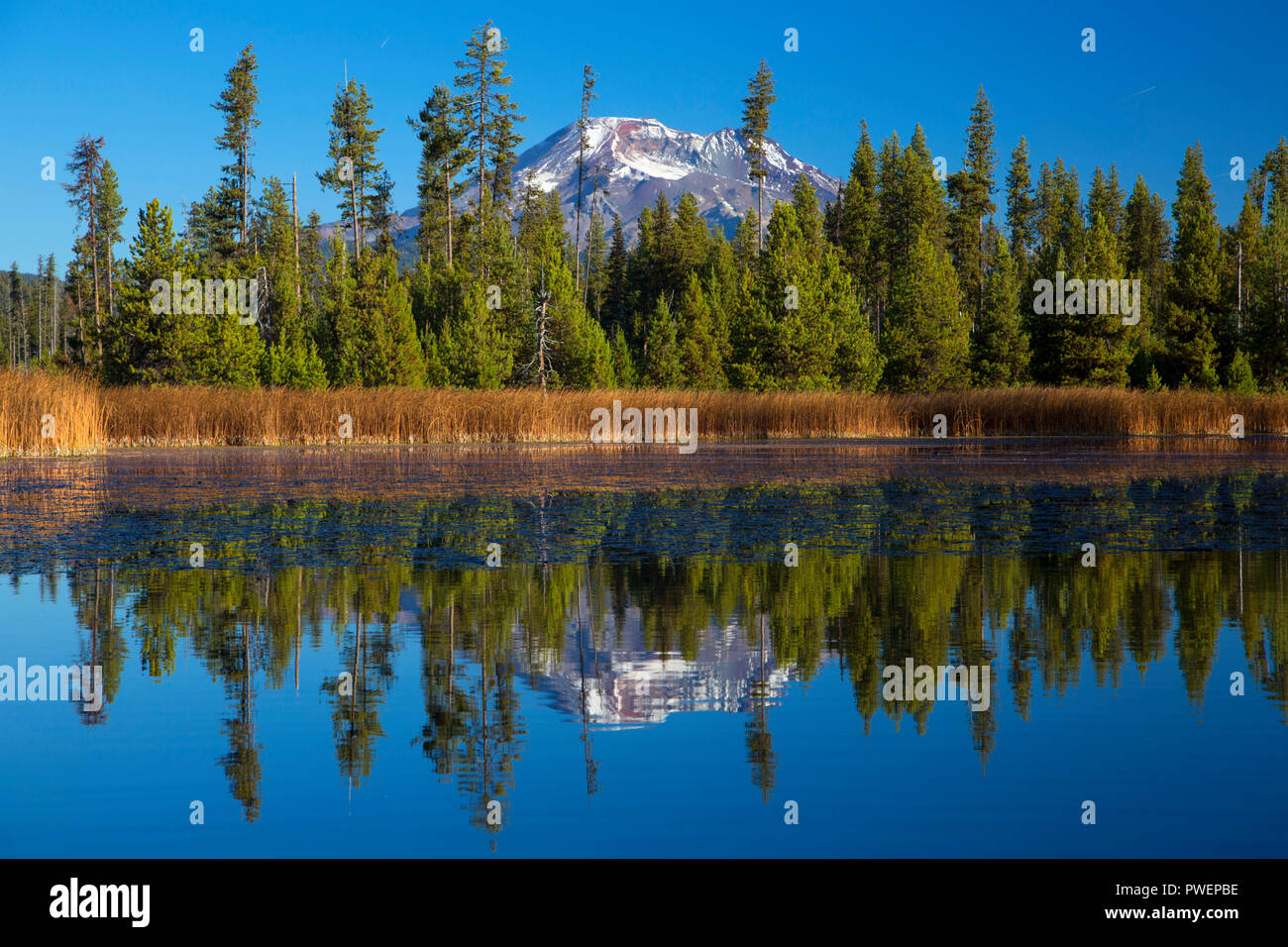 South Sister from Hosmer Lake, Deschutes National Forest, Cascade Lakes National Scenic Byway, Oregon Stock Photo