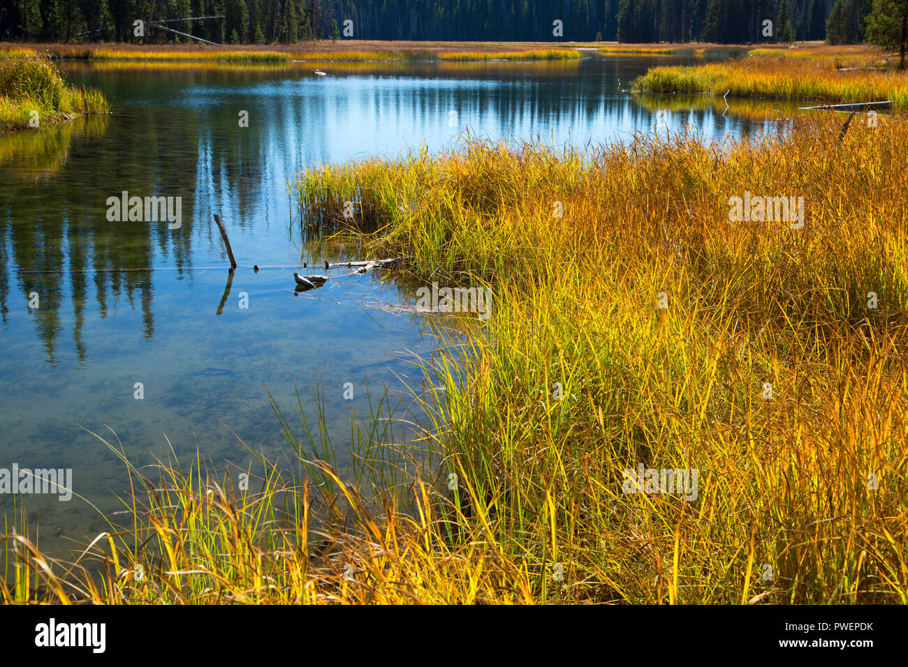 Upper Deschutes River, Deschutes National Forest, Cascade Lakes National Scenic Byway, Oregon