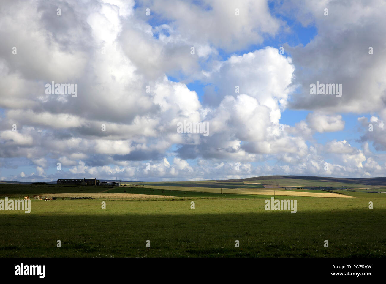 A typical landscape in the Orkney islands, Orkney, Scotland, Highlands, United Kingdom Stock