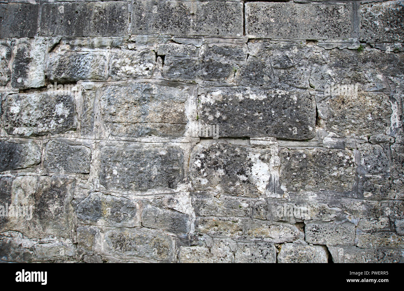 Gray slate wall stone background or texture Stock Photo