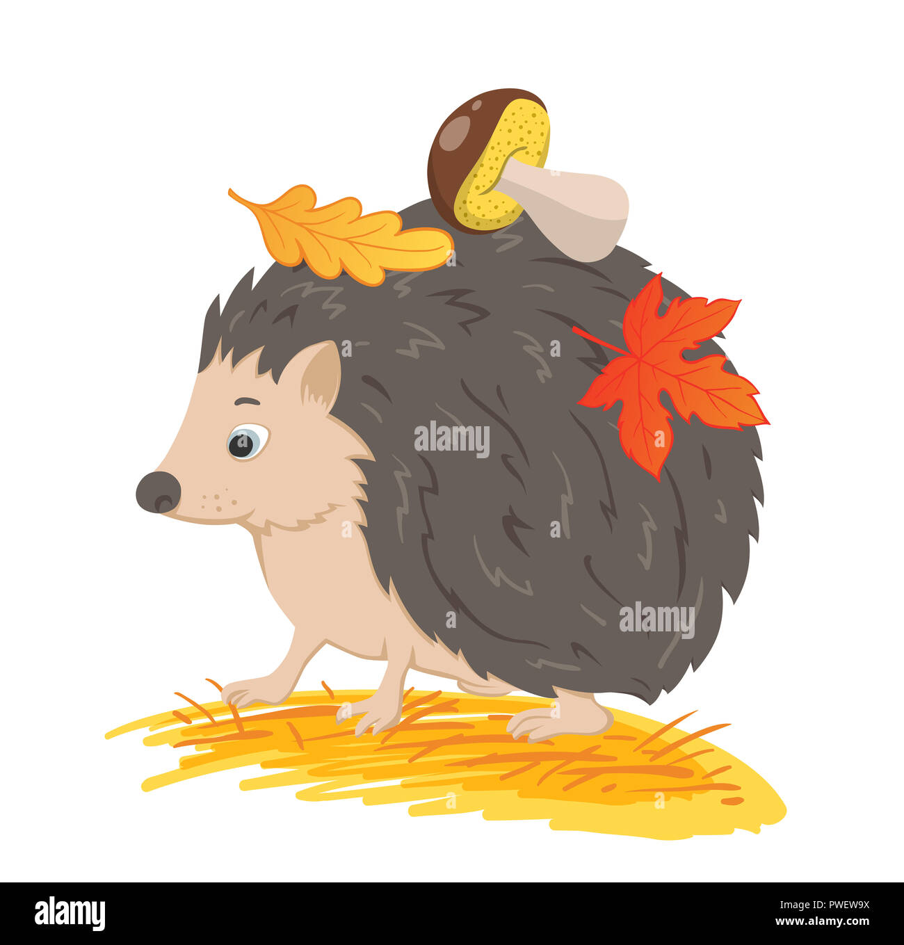 Cute forest hedgehog with autumn leaves and mushroom on a white background. Stock Photo