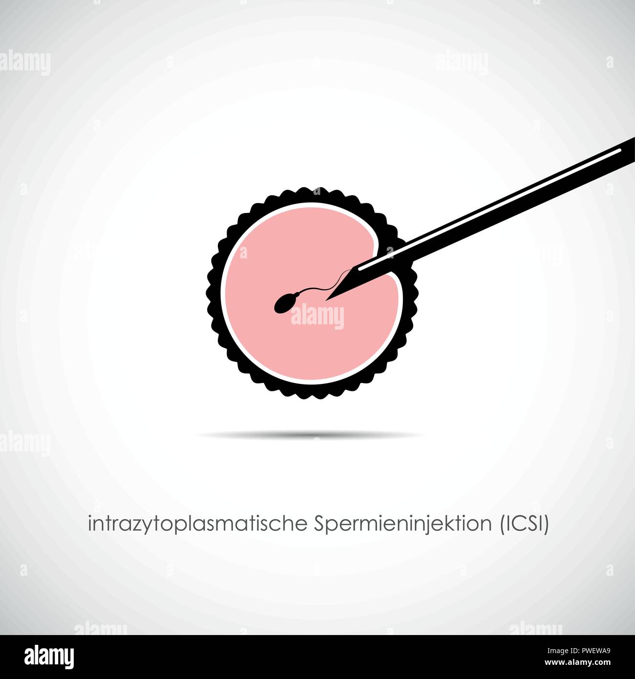 fertility reproduction of ovum and spermatozoon ICSI vector illustration EPS10 Stock Vector