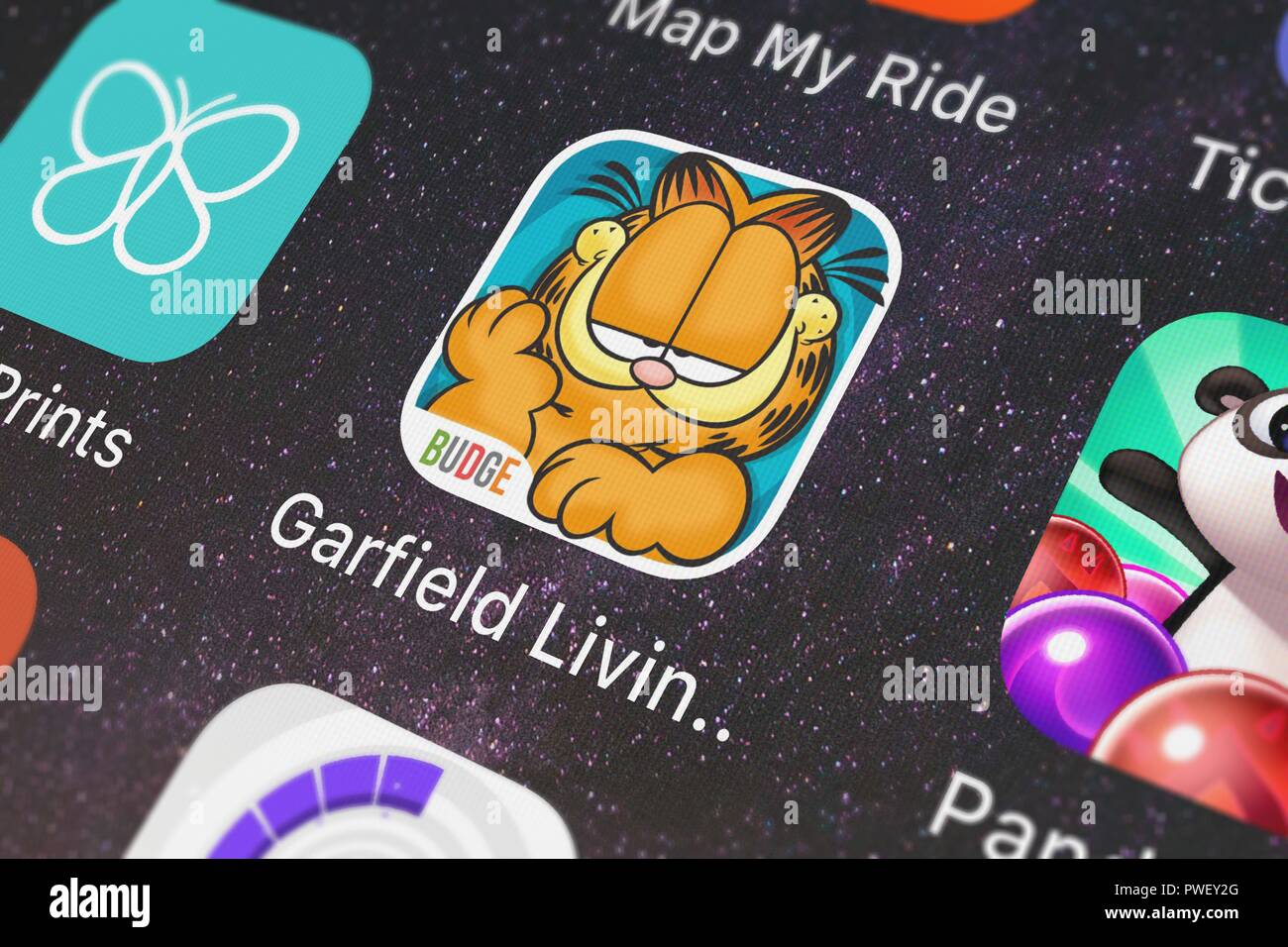 Garfield living large hi res stock photography and images Alamy Garfield living large hi res stock photography and images Alamy