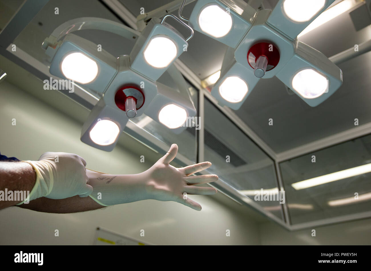 Hospital technician putting on surgical gloves in an operating theatre