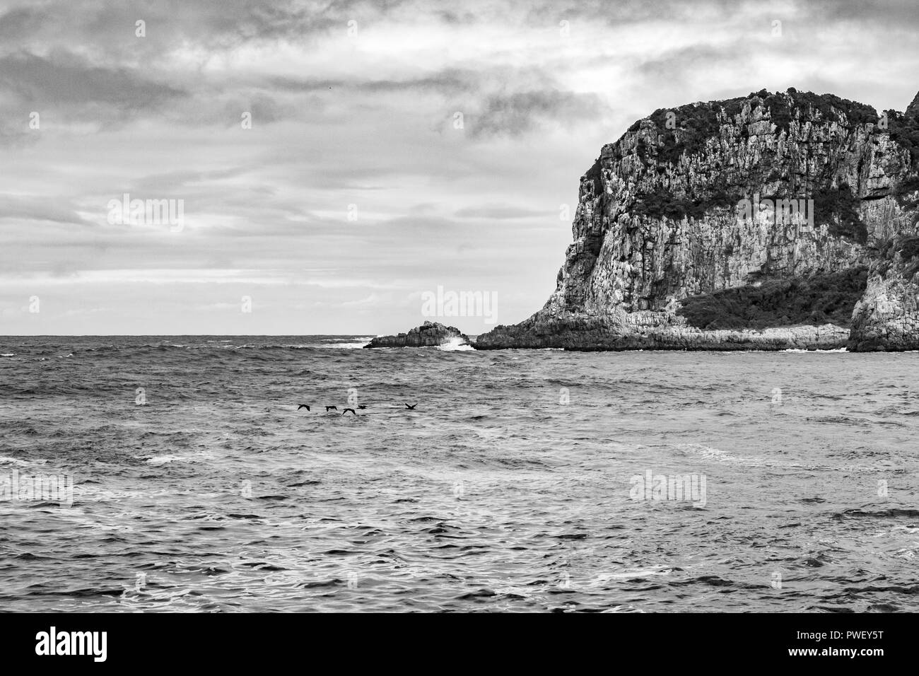 East head Knysna Stock Photo Alamy