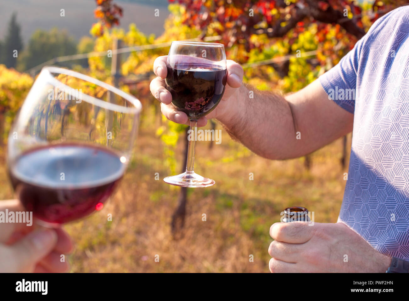 9 Of The Most Popular Red Wines (& Why They're So Great)
