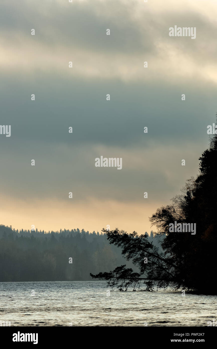 Over hanging trees hi-res stock photography and images - Alamy