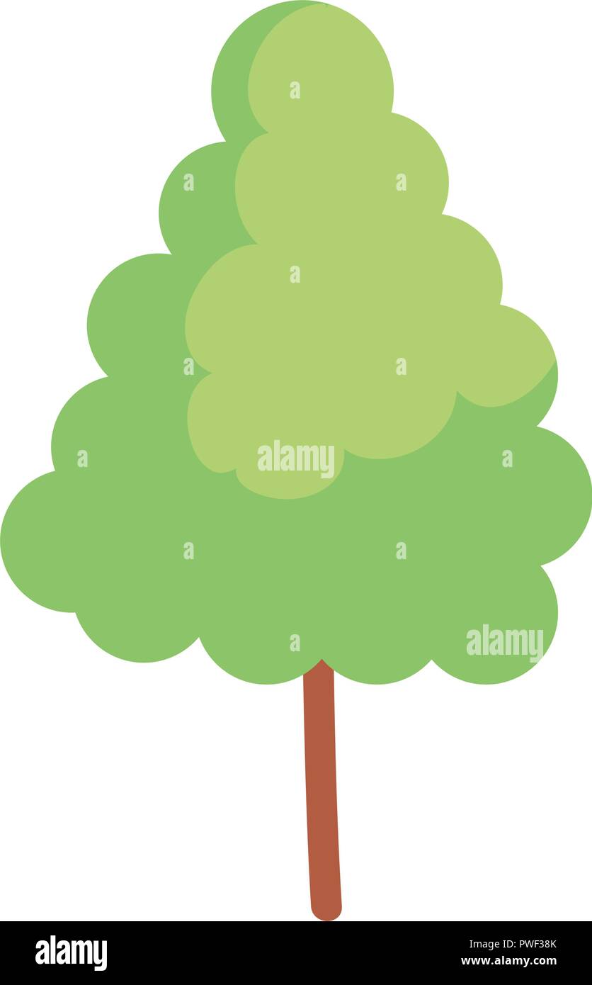 pine tree plant isolated icon vector illustration design Stock Vector ...
