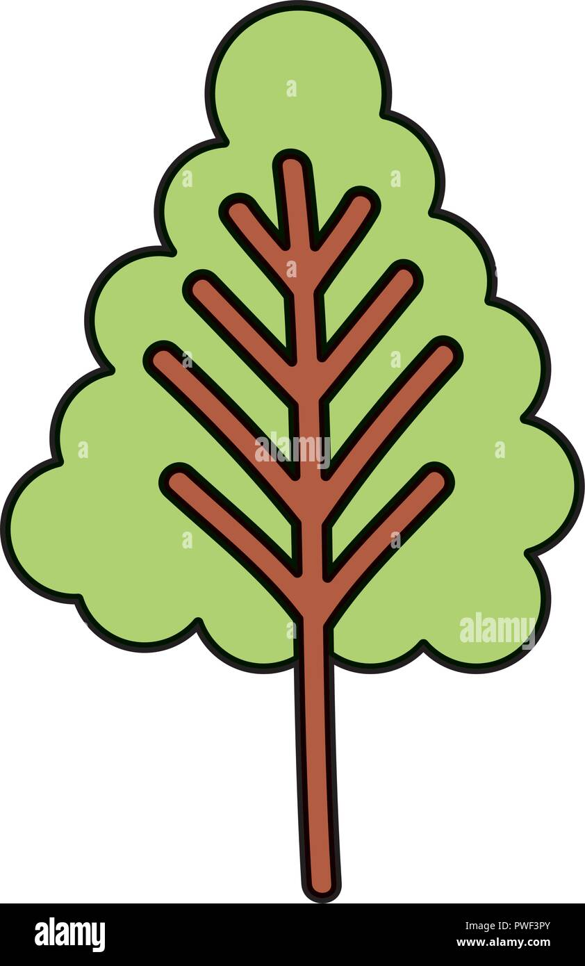 pine tree plant isolated icon vector illustration design Stock Vector ...