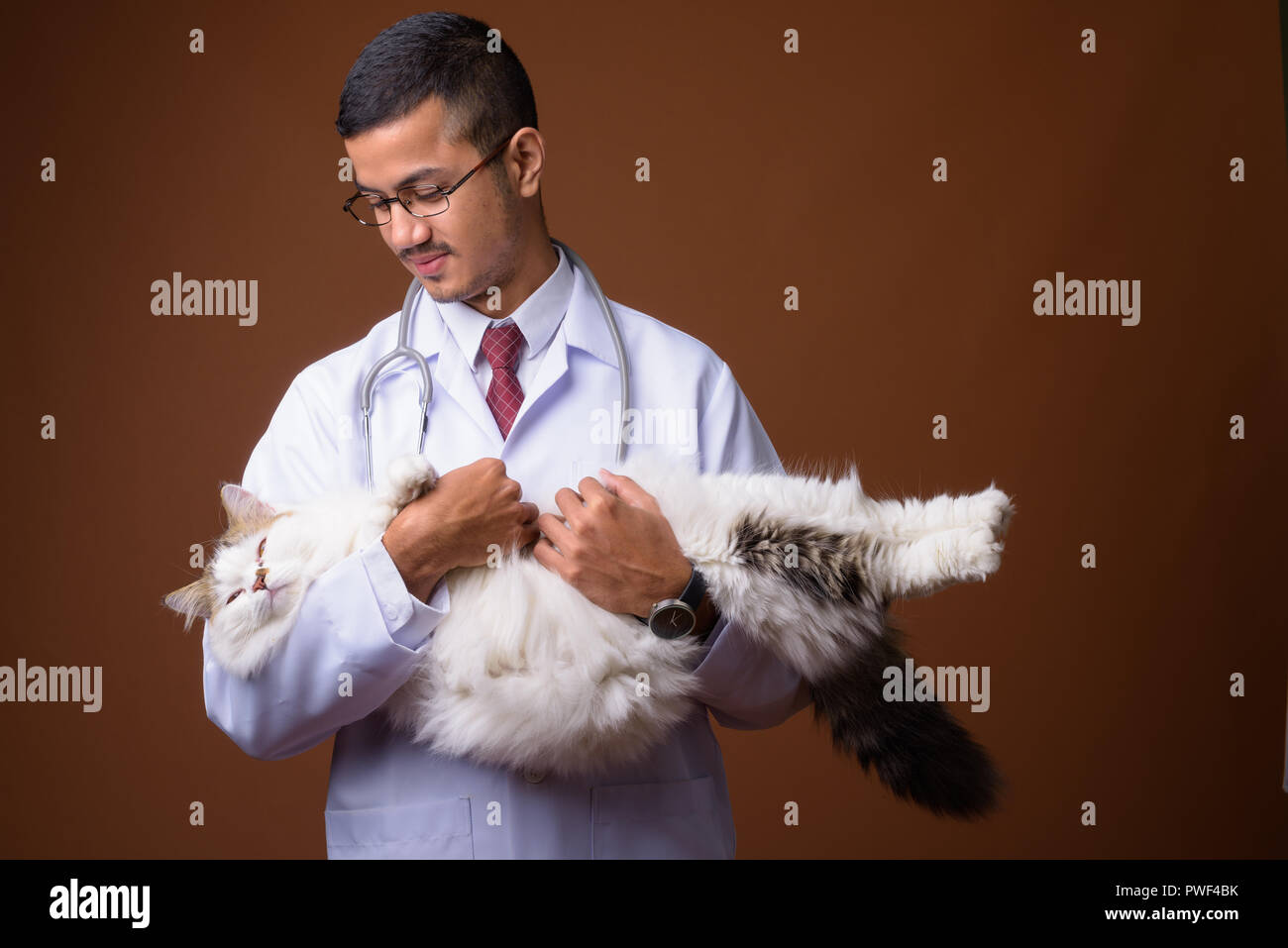 Young multi-ethnic Asian man doctor against brown background Stock Photo