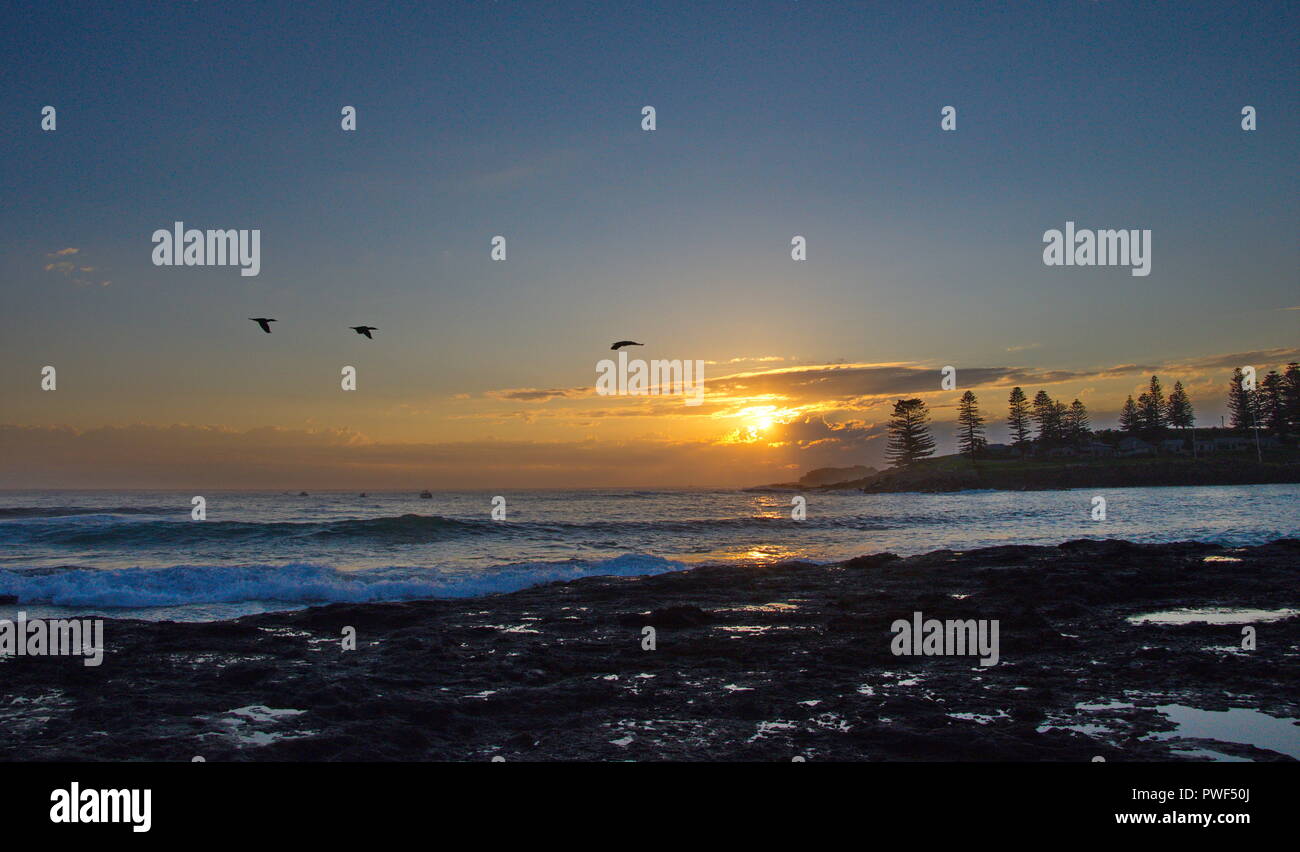 Sunrise over Kiama Harbor with seagulls in flight Stock Photo
