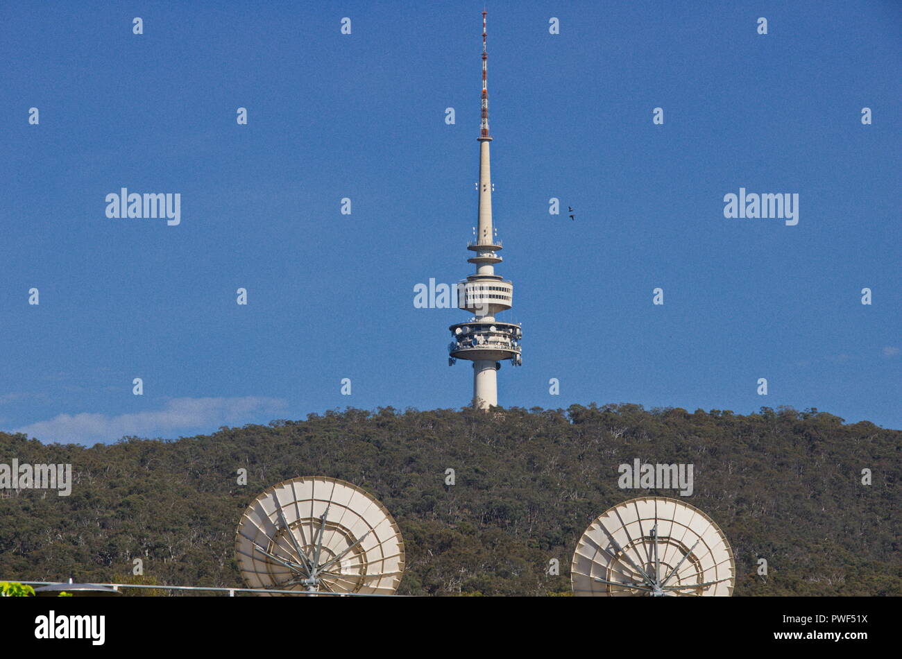 Radio tower and dishes on Black Mountain in Canberra Stock Photo