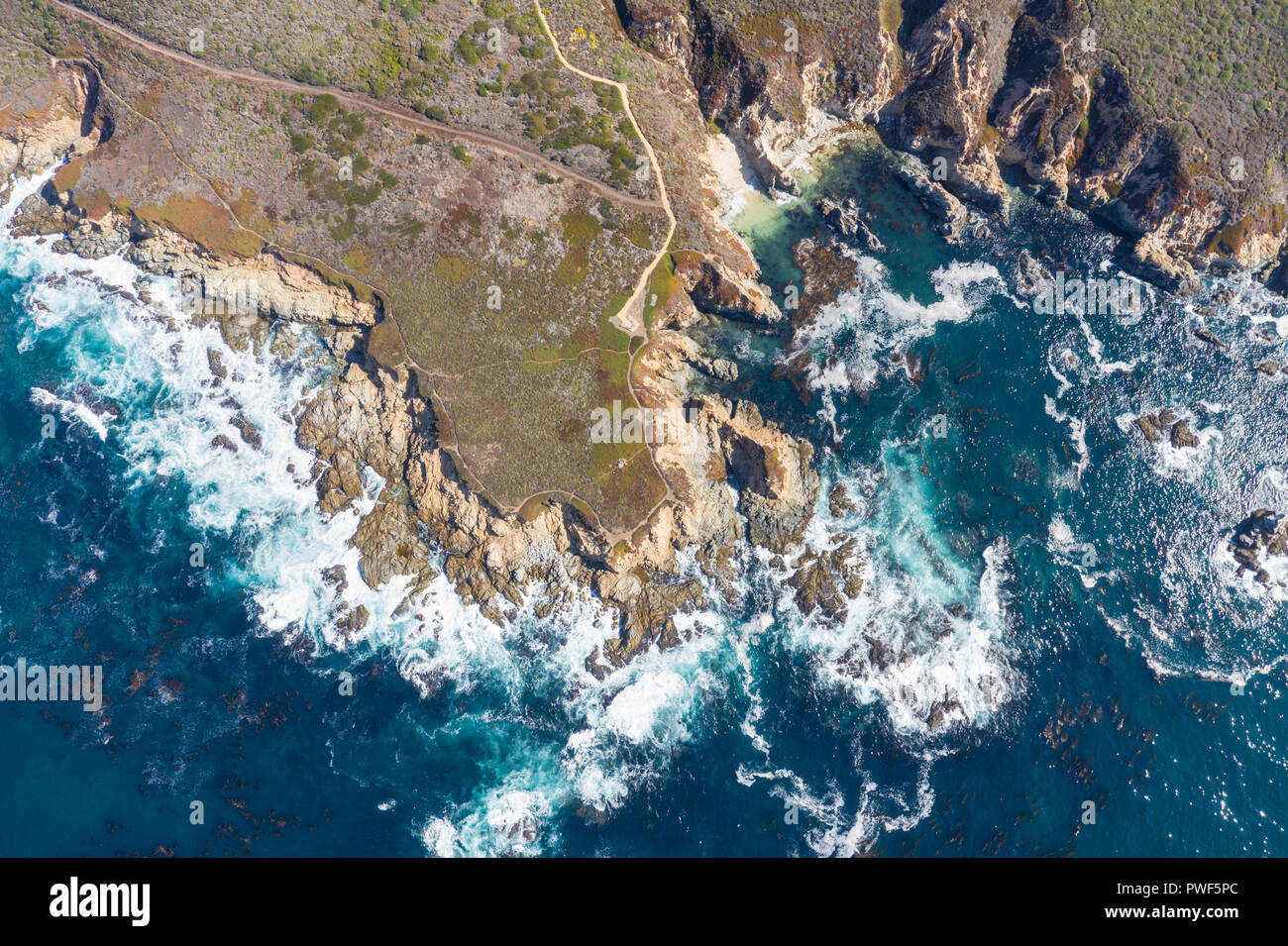 The cold, nutrientrich waters of the North Pacific Ocean wash against