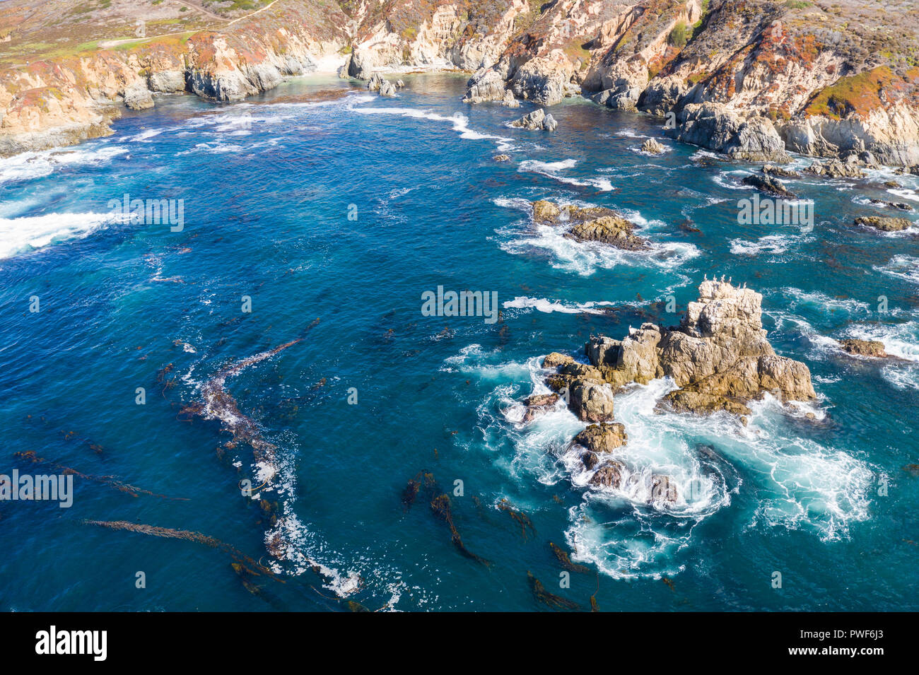 The cold, nutrientrich waters of the North Pacific Ocean wash against