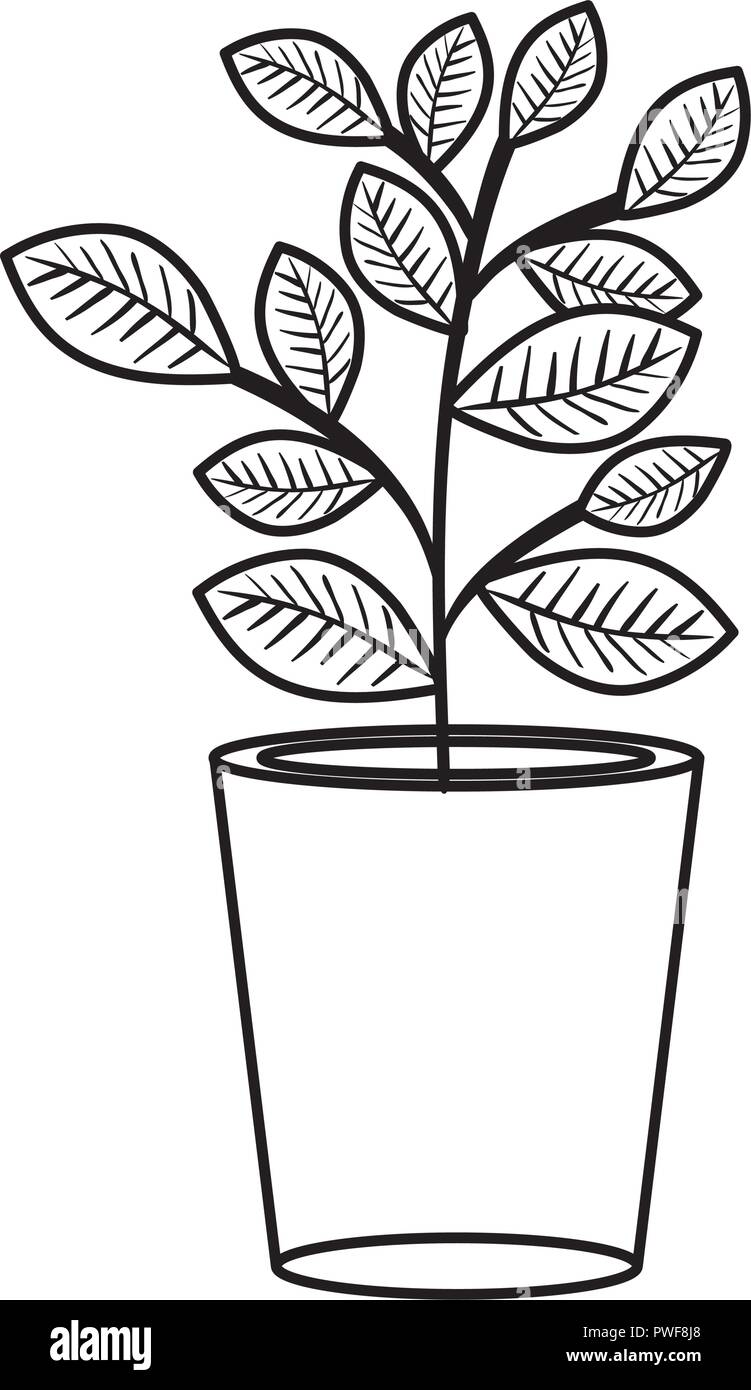 houseplant in pot icon Stock Vector Image & Art - Alamy