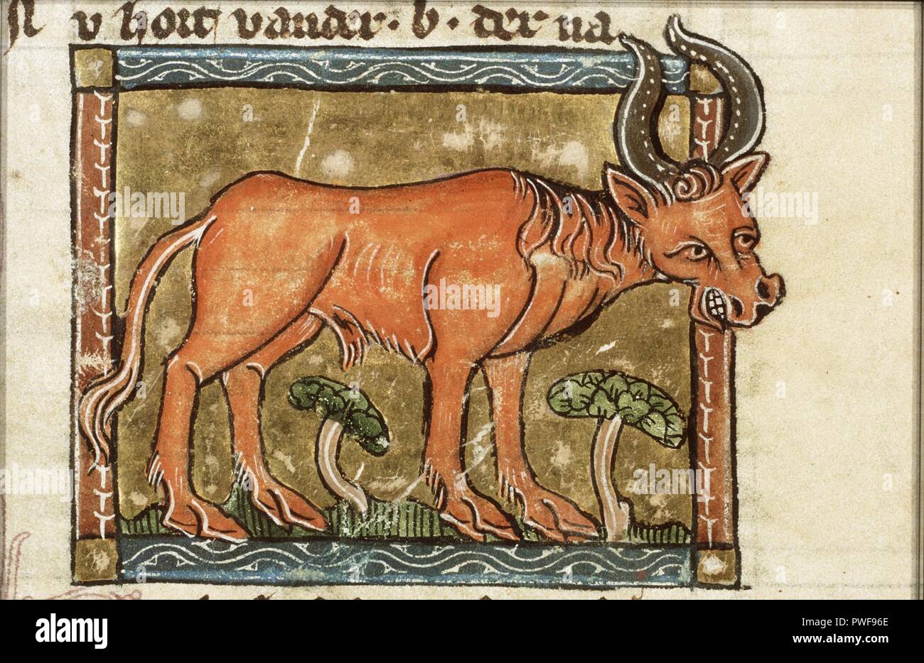 Bubalus (buffalo) - Der naturen bloeme - Jacob van Maerlant - KB KA 16 ...