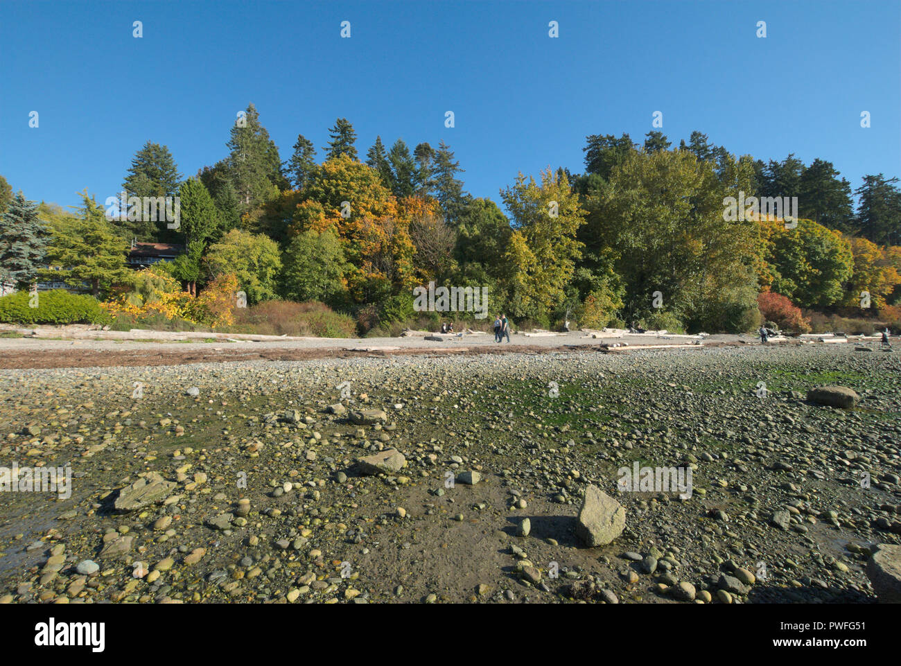 Crescent Beach in Surrey, British Columbia, Canada Stock Photo Alamy