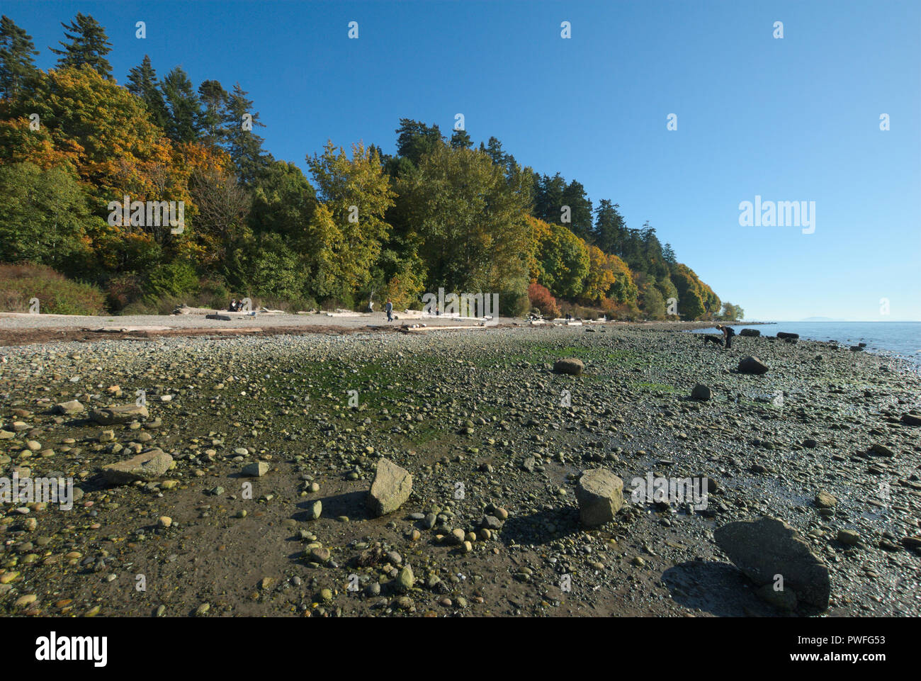 Crescent Beach in Surrey, British Columbia, Canada Stock Photo