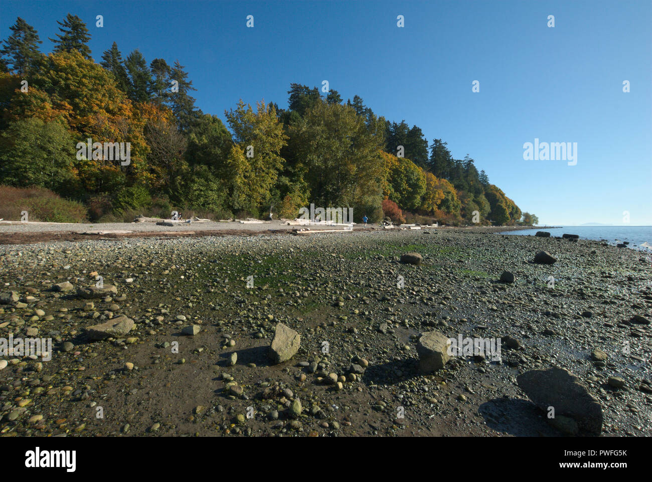 Crescent Beach in Surrey, British Columbia, Canada Stock Photo - Alamy
