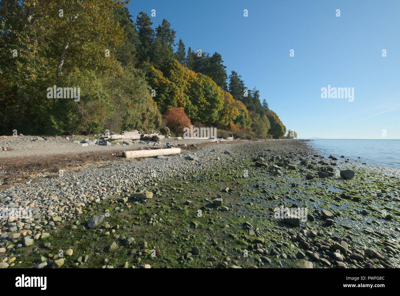 Crescent Beach in Surrey, British Columbia, Canada Stock Photo Alamy