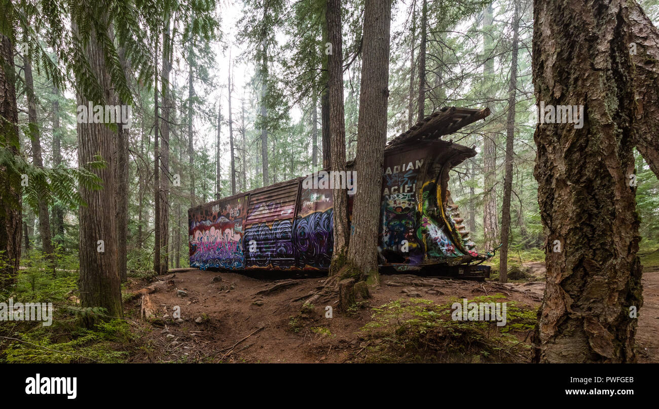 Derailed  train wreckage in the misty forest near Whistler, British Columbia, Canada Stock Photo