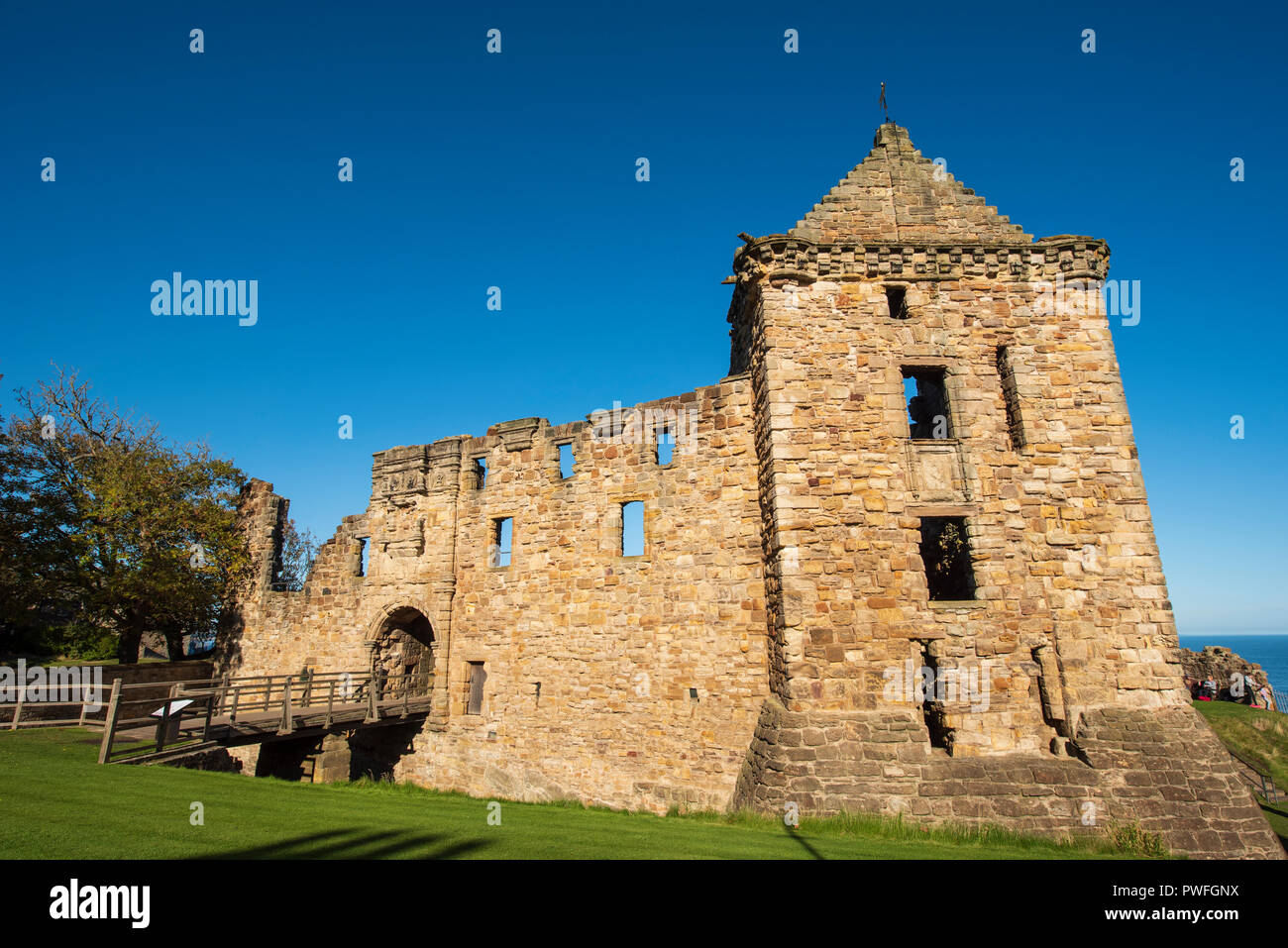 St. Andrews Castle, St Andrews, Fife, Scotland Stock Photo Alamy