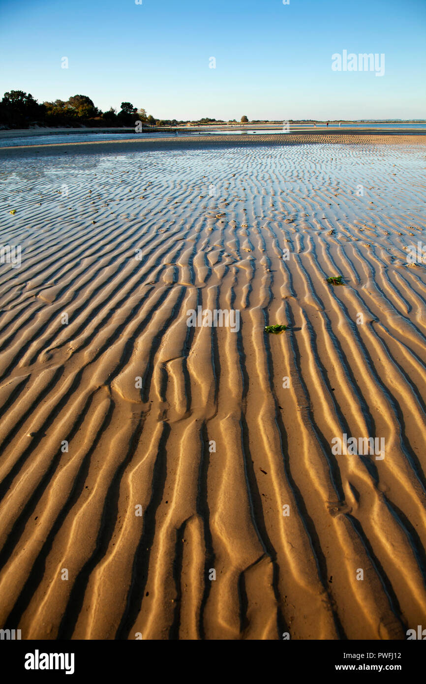 Undulations in the sand on Studland beach at low tide,