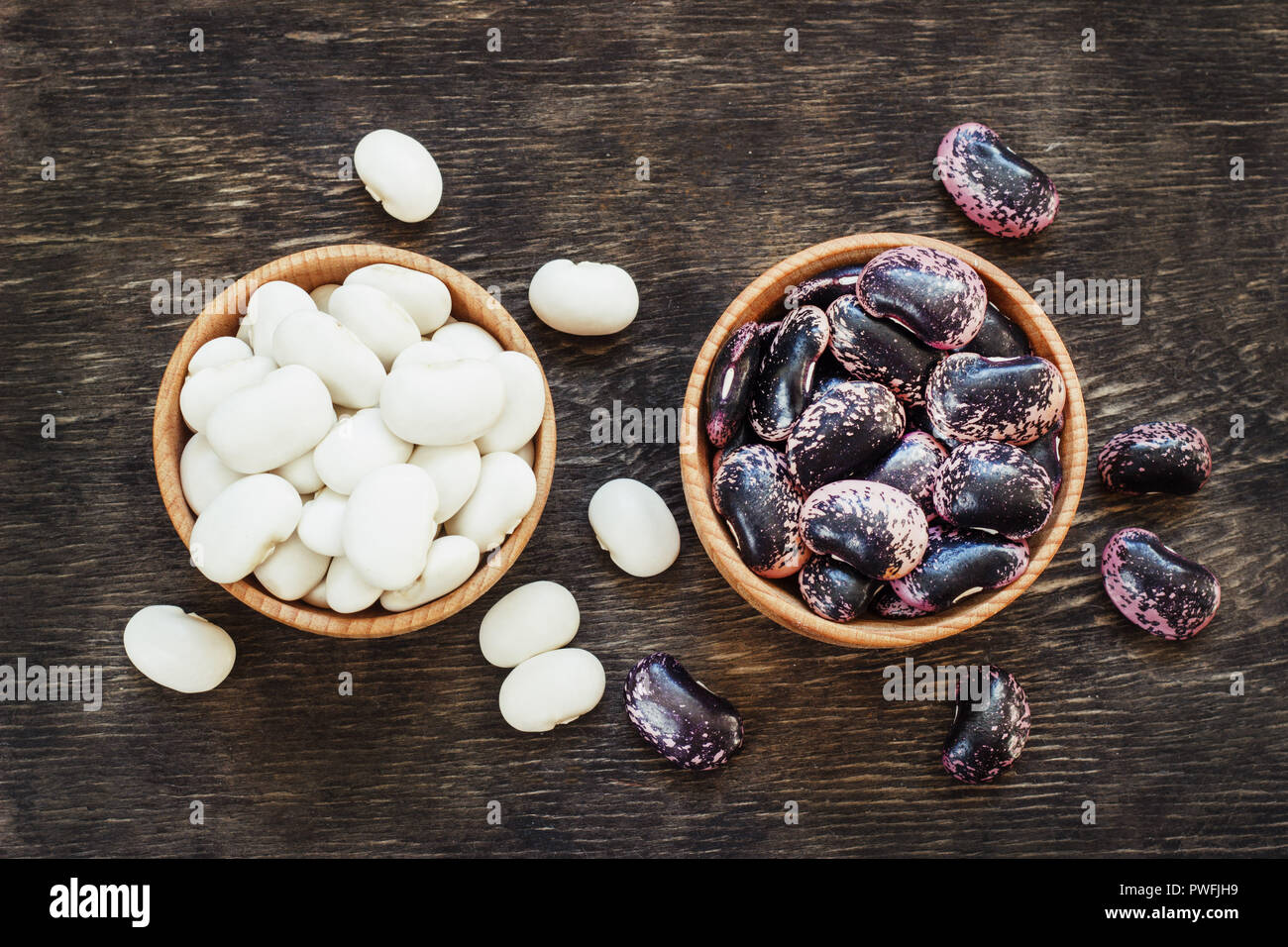 Different types of legumes Cannellini Beans, Black and Red Kidney Beans, Lima and Pinto Beans