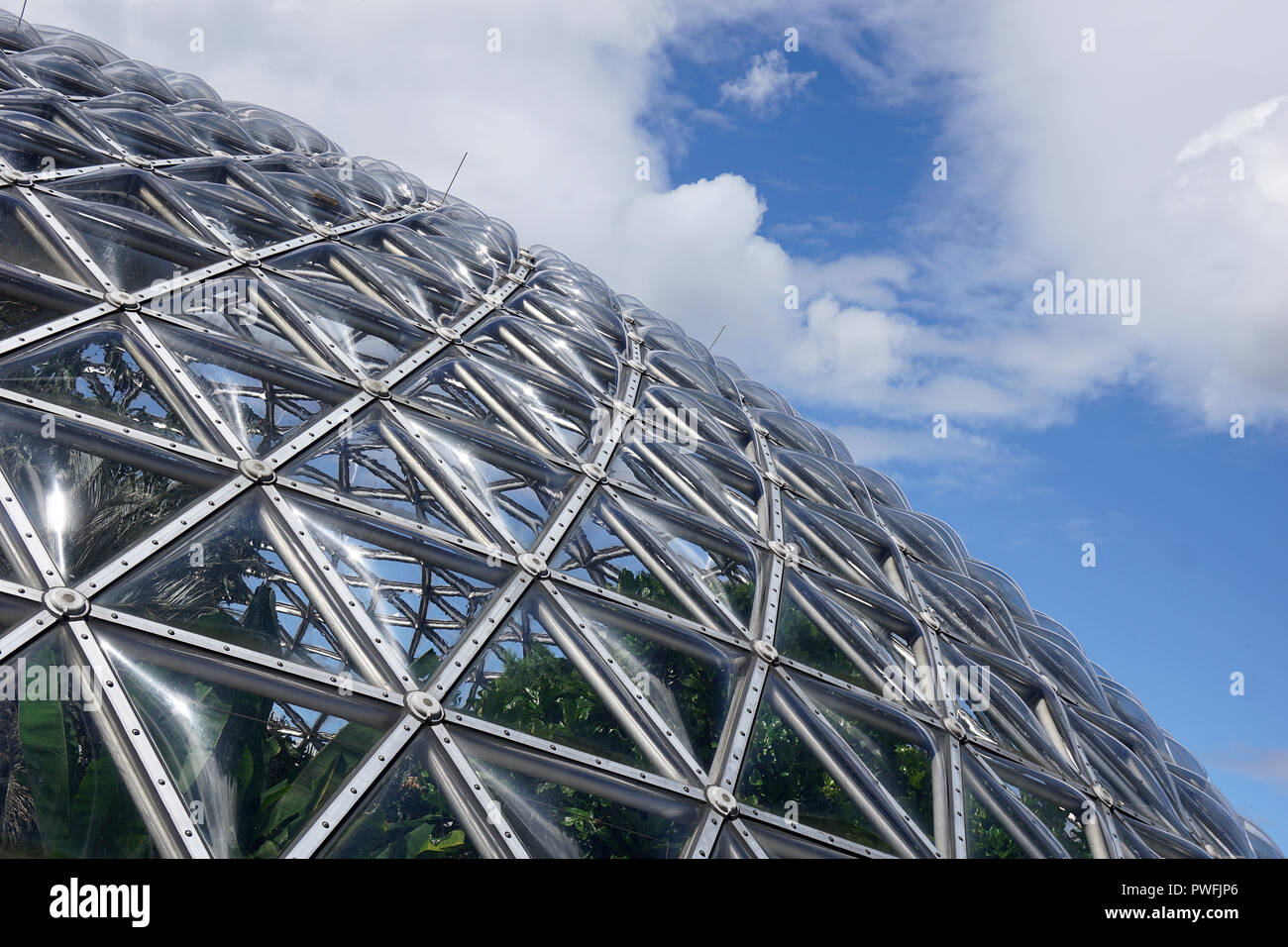 Detail of the roof of Bloedel Conservatory, Vancouver, Canada Stock Photo