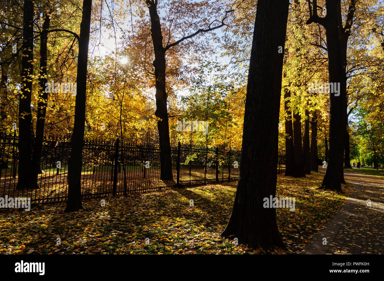 Indian city summer hi-res stock photography and images - Alamy