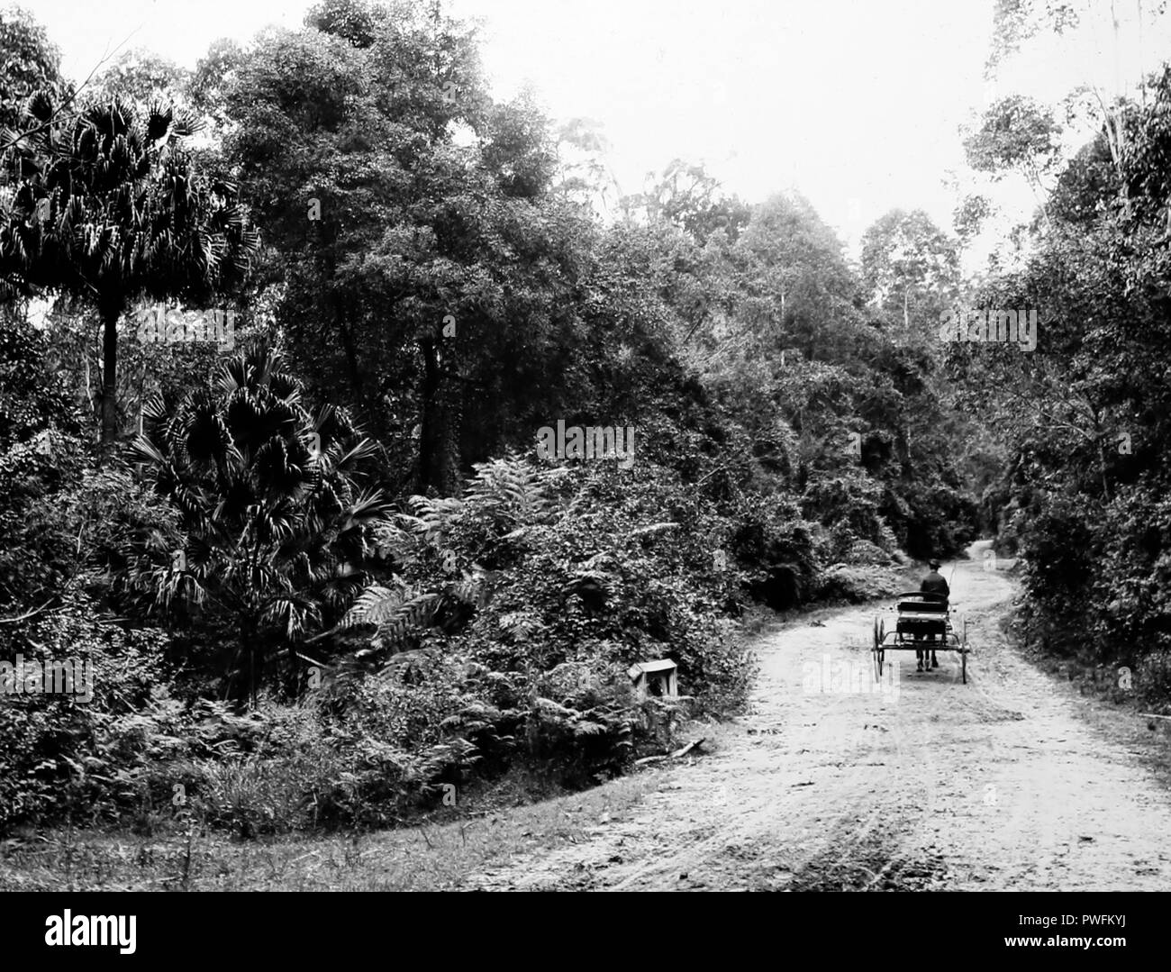 The Bulli Pass, NSW, Australia, Victorian period Stock Photo